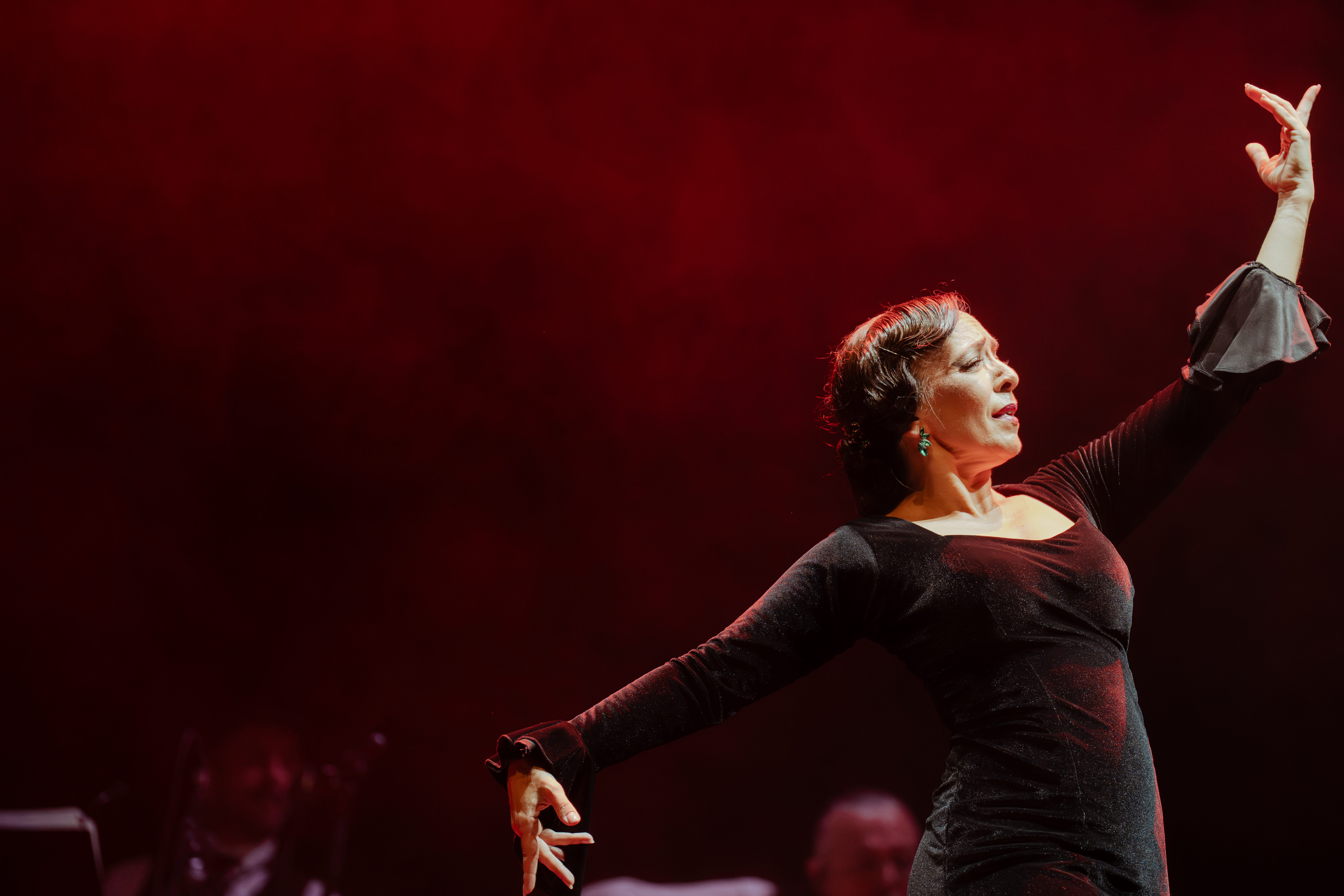 Flamenco — 4