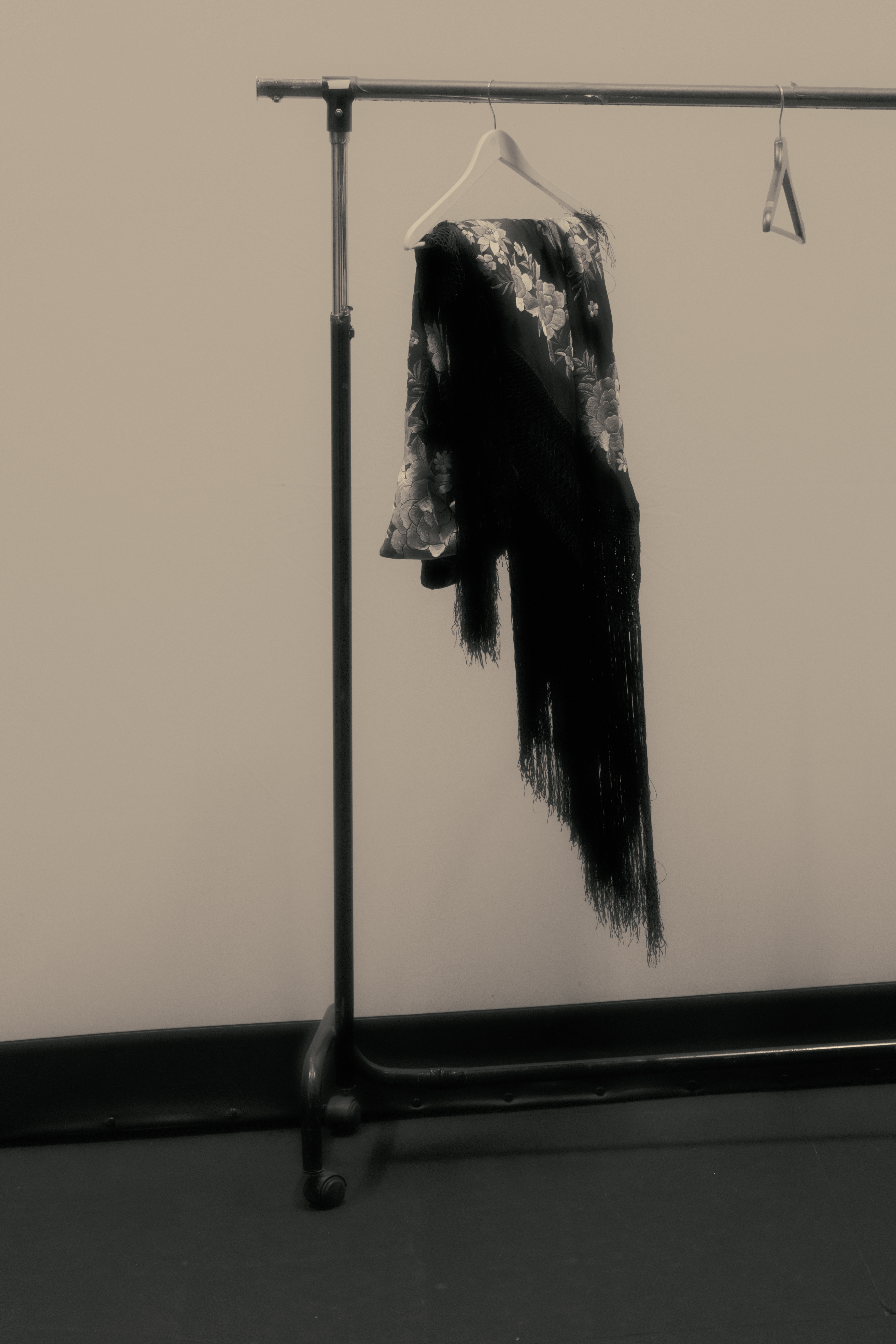 Flamenco — 3