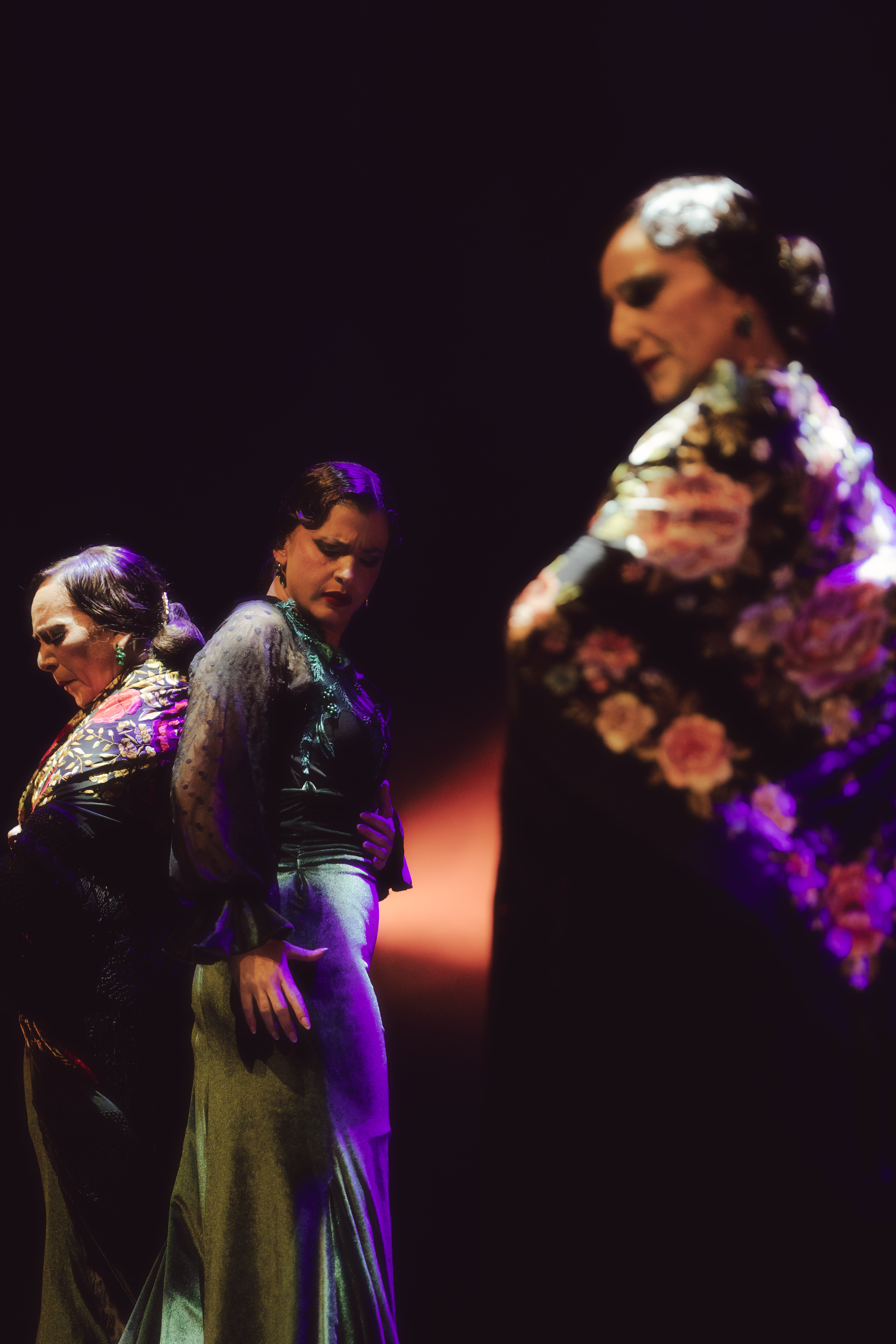 Flamenco — 9
