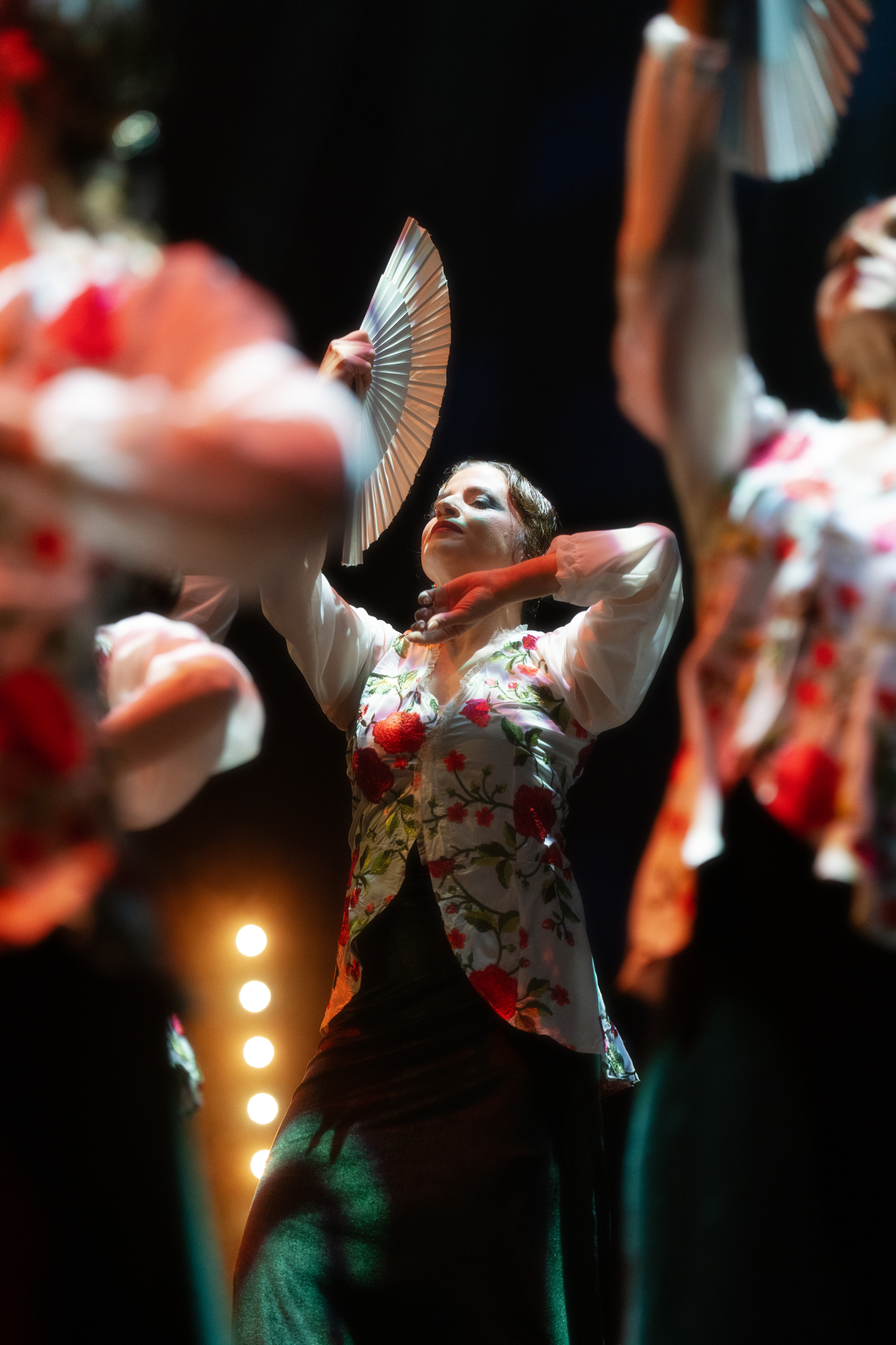 Flamenco — 8