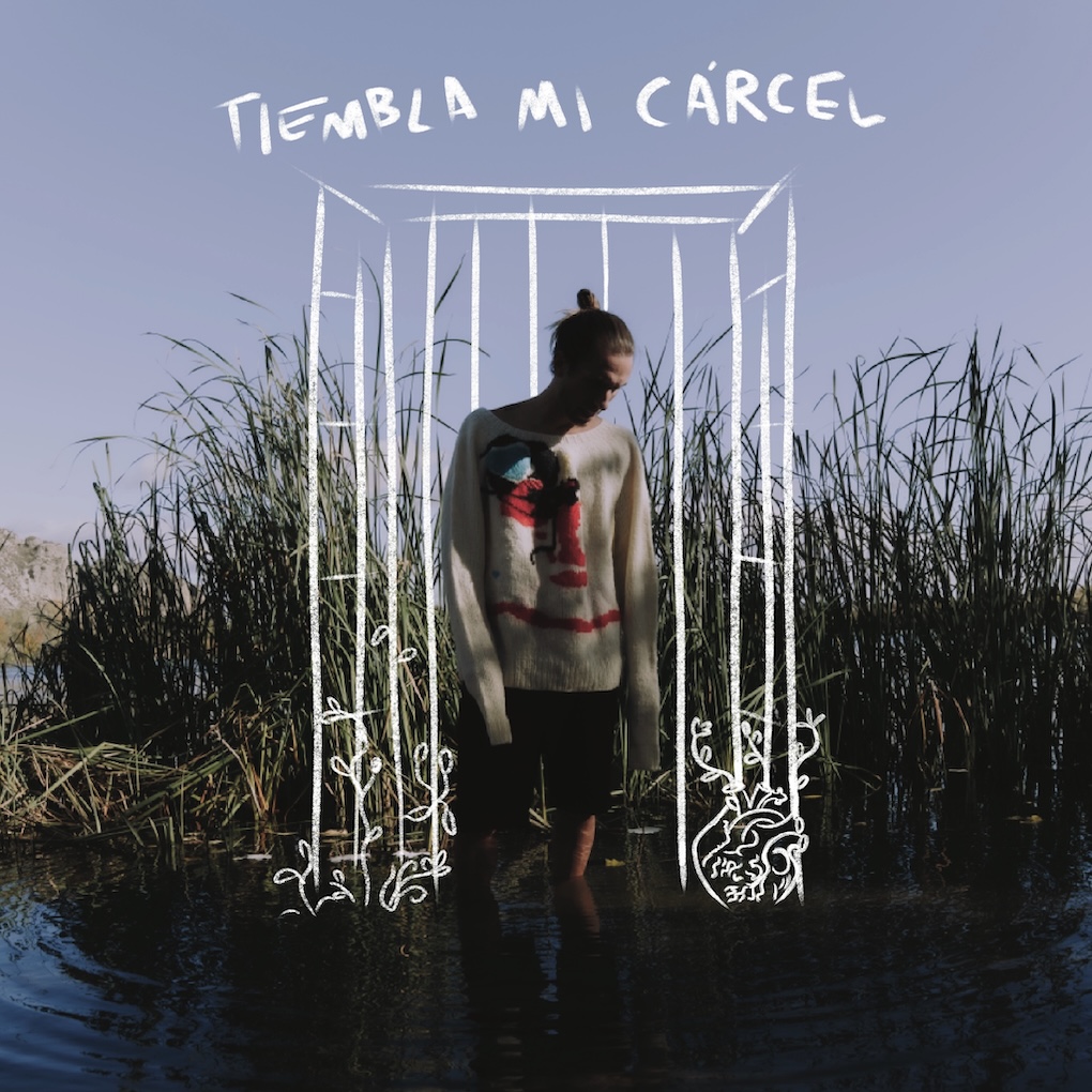 Martín Ceballos — 6